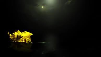 奔跑马流光粒子特效标志片头大气LOGO演绎动画视频的预览图